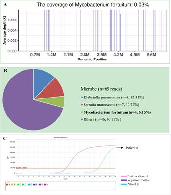 Rapid diagnosis of non-tuberculous mycobacterial pulmonary diseases by metagenomic next-generation sequencing in non-referral hospitals